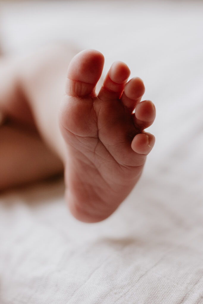 A close-up photograph of a tiny newborn baby's foot, pink with an out of focus background.